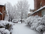Colorado's Snowstorm on April 3-4, 2014