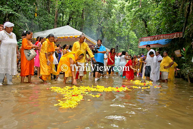 Symbolic sari of seven thousand buttercups is offered to the river