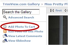 Add Photo to Cart located to the left of the larger image