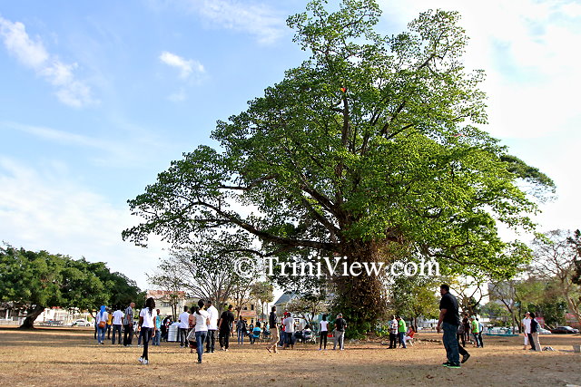 Bandmates, friends of Asami Nagakiya and other members of the public assemble under the tree where her body was found to attend her memorial service