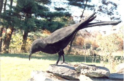 Black Crow Connecticut Carnival