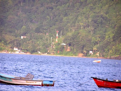 Damian Bay