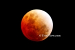 Total Lunar Eclipse - February 20, 2008